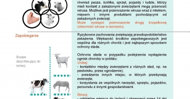 ulotka pryszczyca10 04 2025.jpg